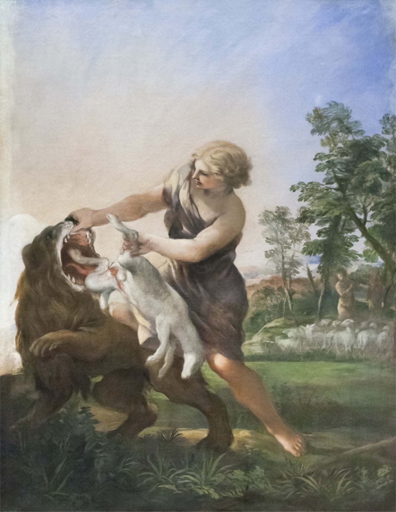 David tuant le lion - Pietro da Cortona - Alpha Reproduction