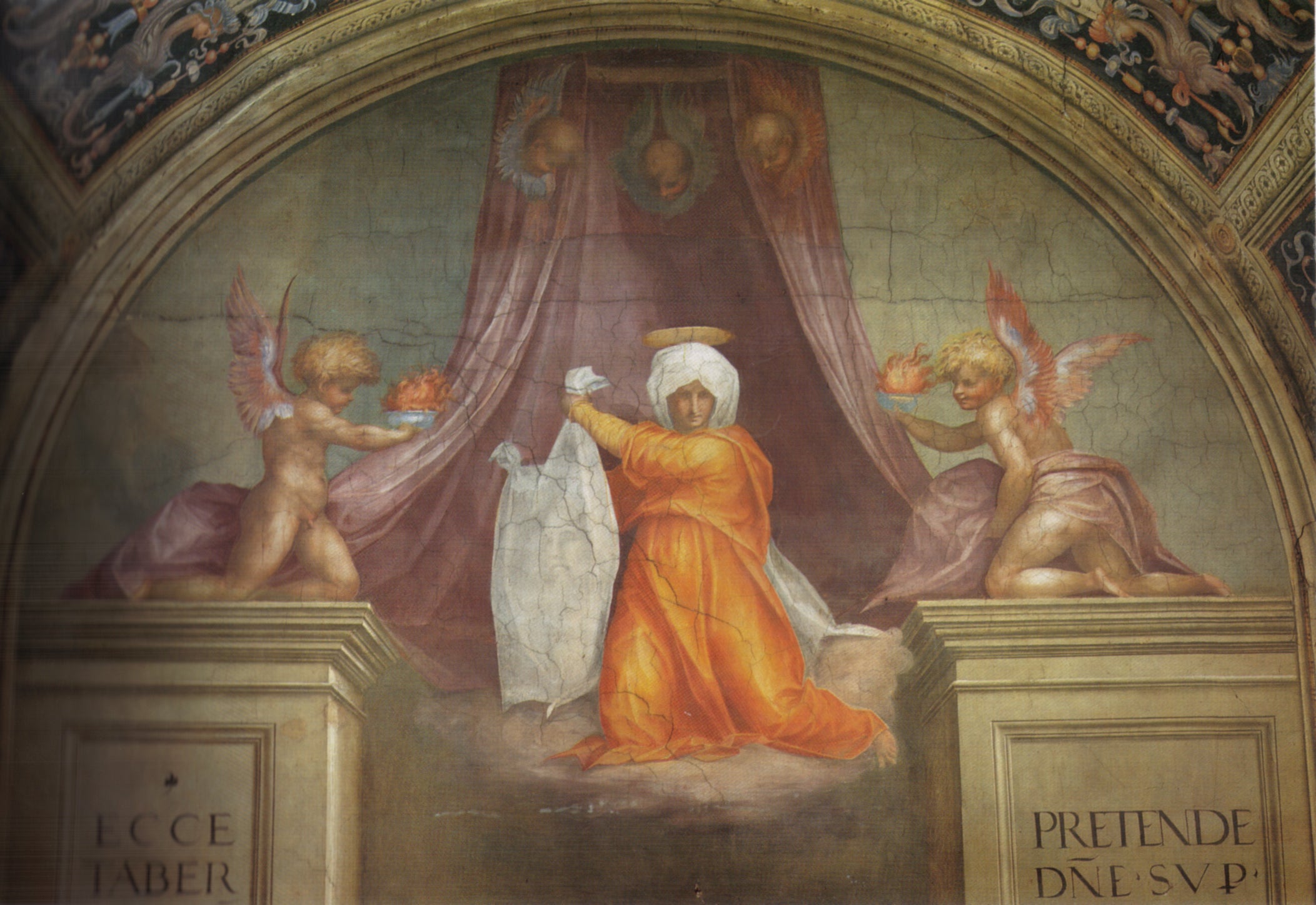 Q4010176 - Pontormo