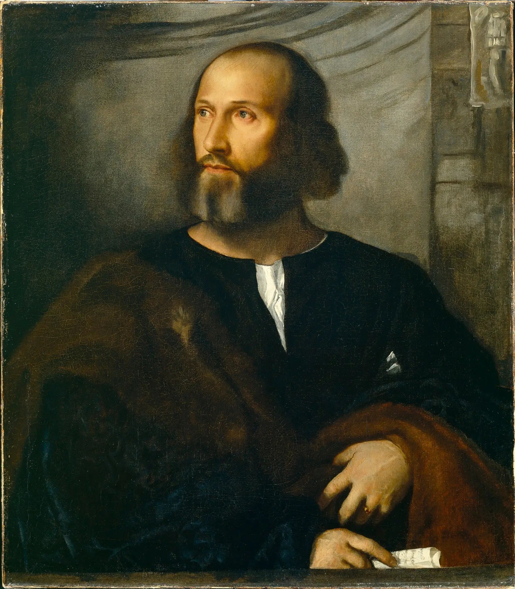Portrait d’un homme barbu - Titian - Alpha Reproduction