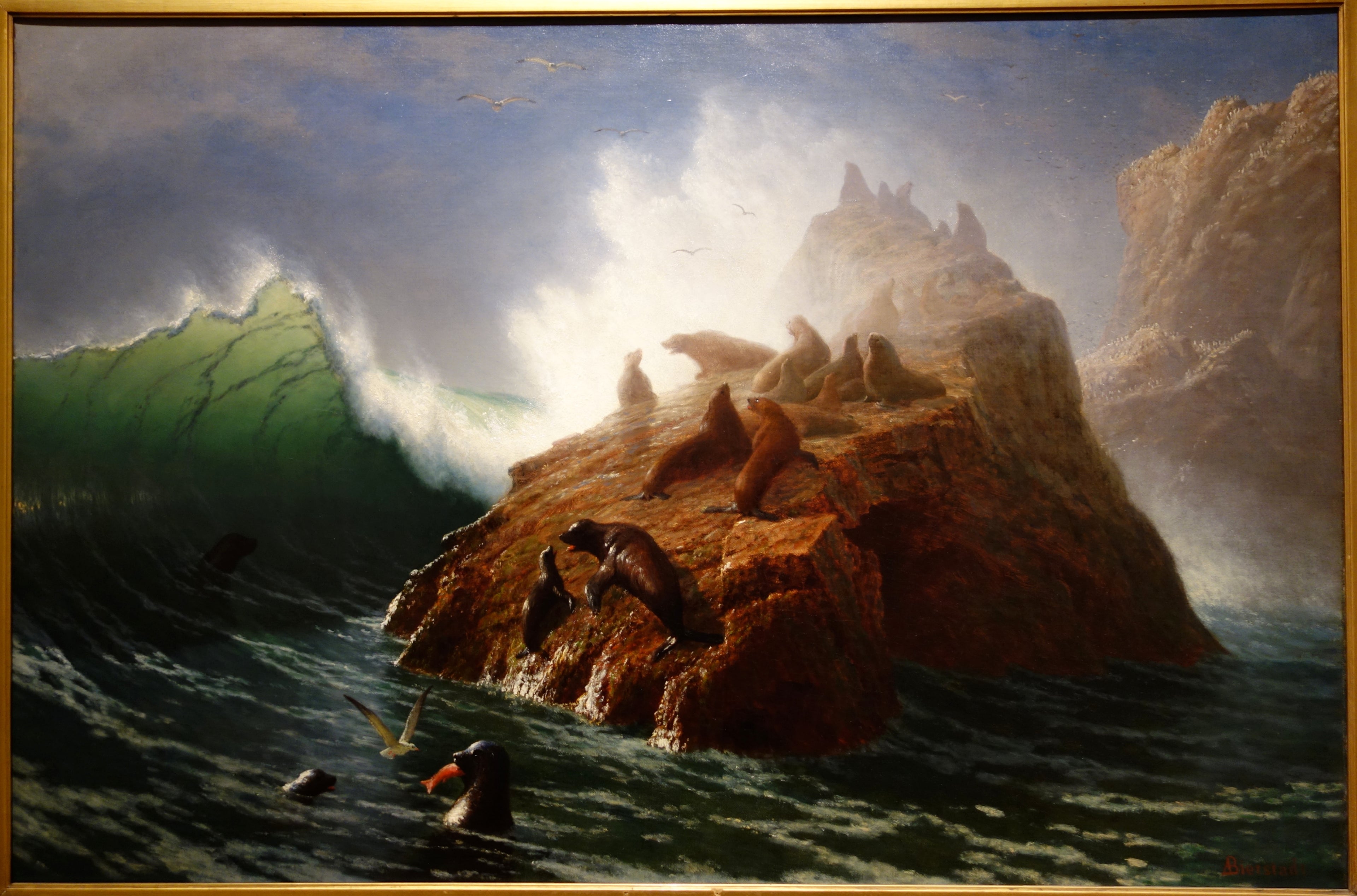 Rocher du phoque - Albert Bierstadt