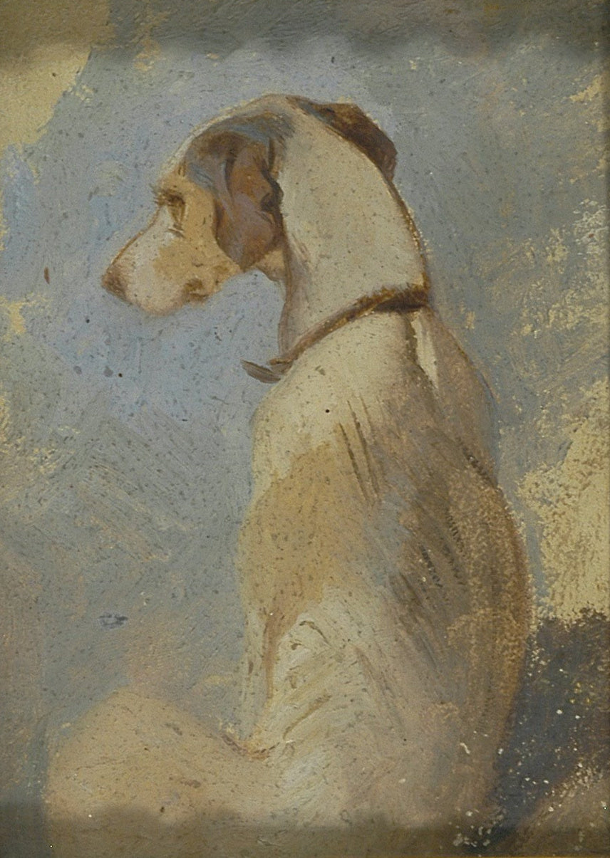 Étude d'un lévrier - Edwin Henry Landseer