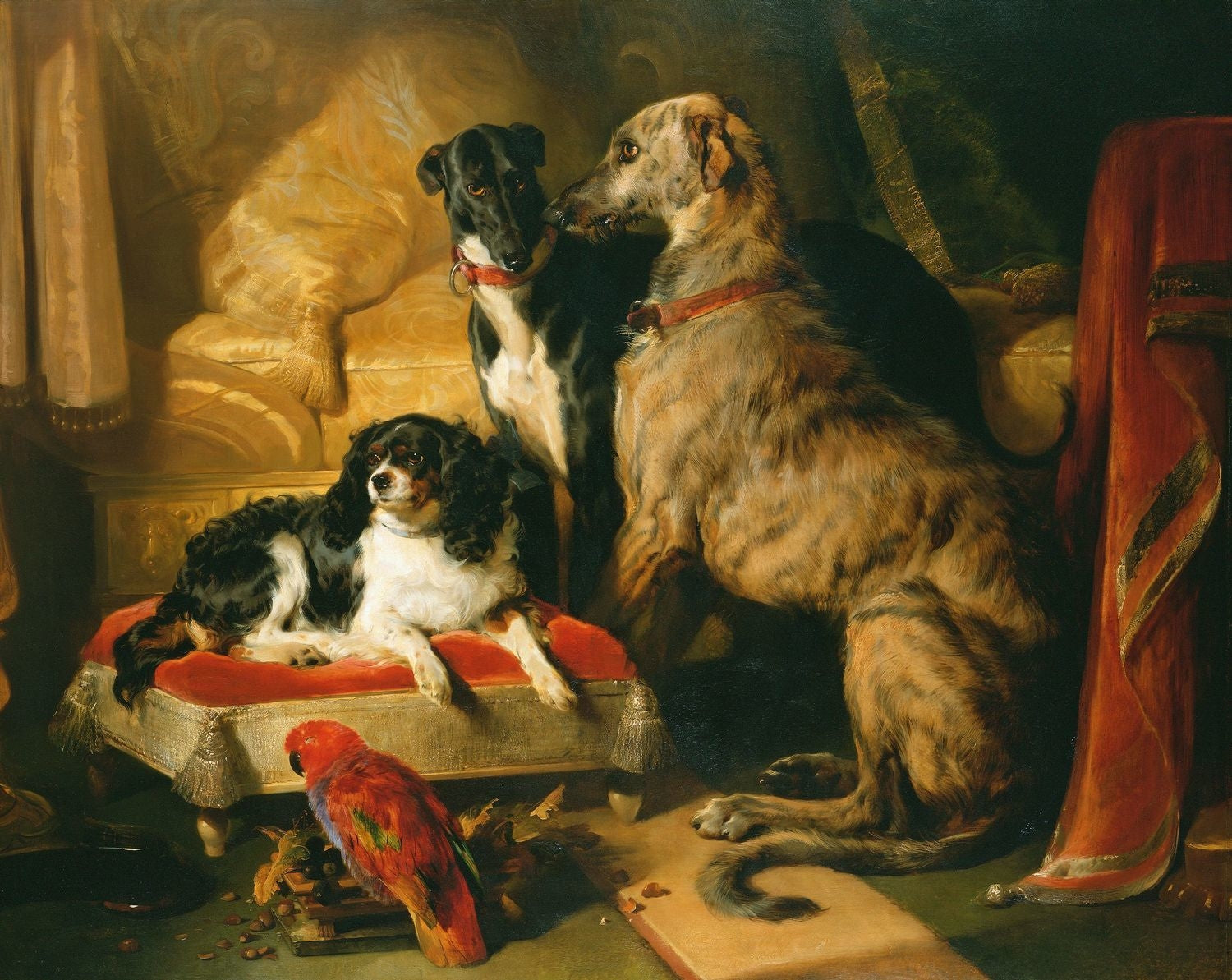 Hector, Néron et Dash avec le perroquet, Lory - Edwin Henry Landseer