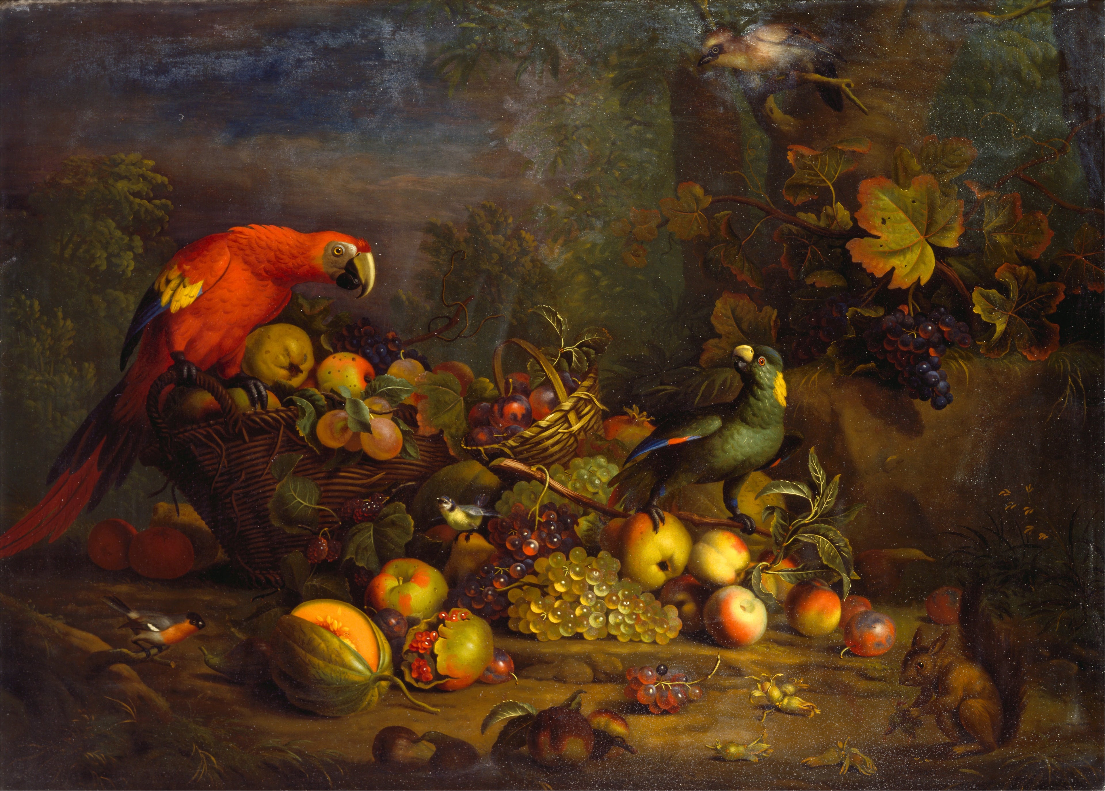 Ara rouge, Amazone à nuque jaune, Bouvreuil pivoine, Mésange bleue, Geai des chênes et Écureuil roux avec des fruits - Tobias Stranover
