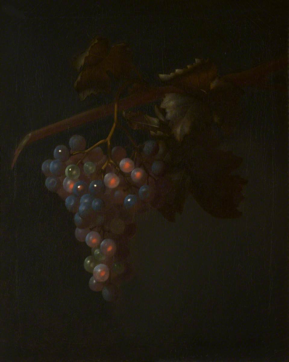 Une grappe de raisin - Tobias Stranover