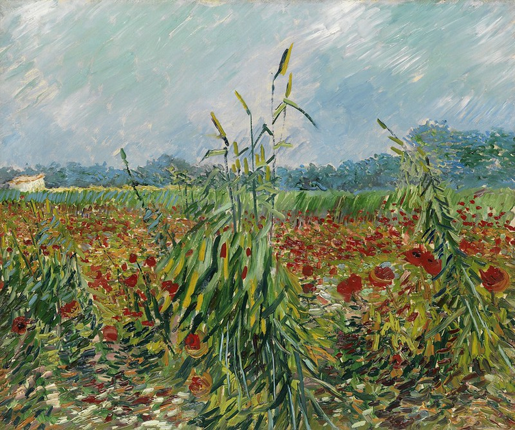 🌾 緑の麦の穂 – ヴィンセント・ヴァン・ゴッホ (1888)