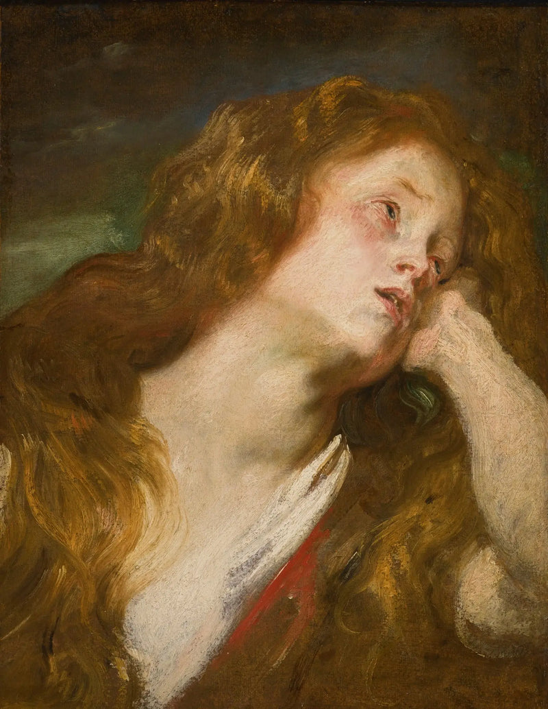若い女性の頭部 - アントワーヌ・ヴァン・ダイク

Source:
Tête de jeune femme - Antoine van Dyck