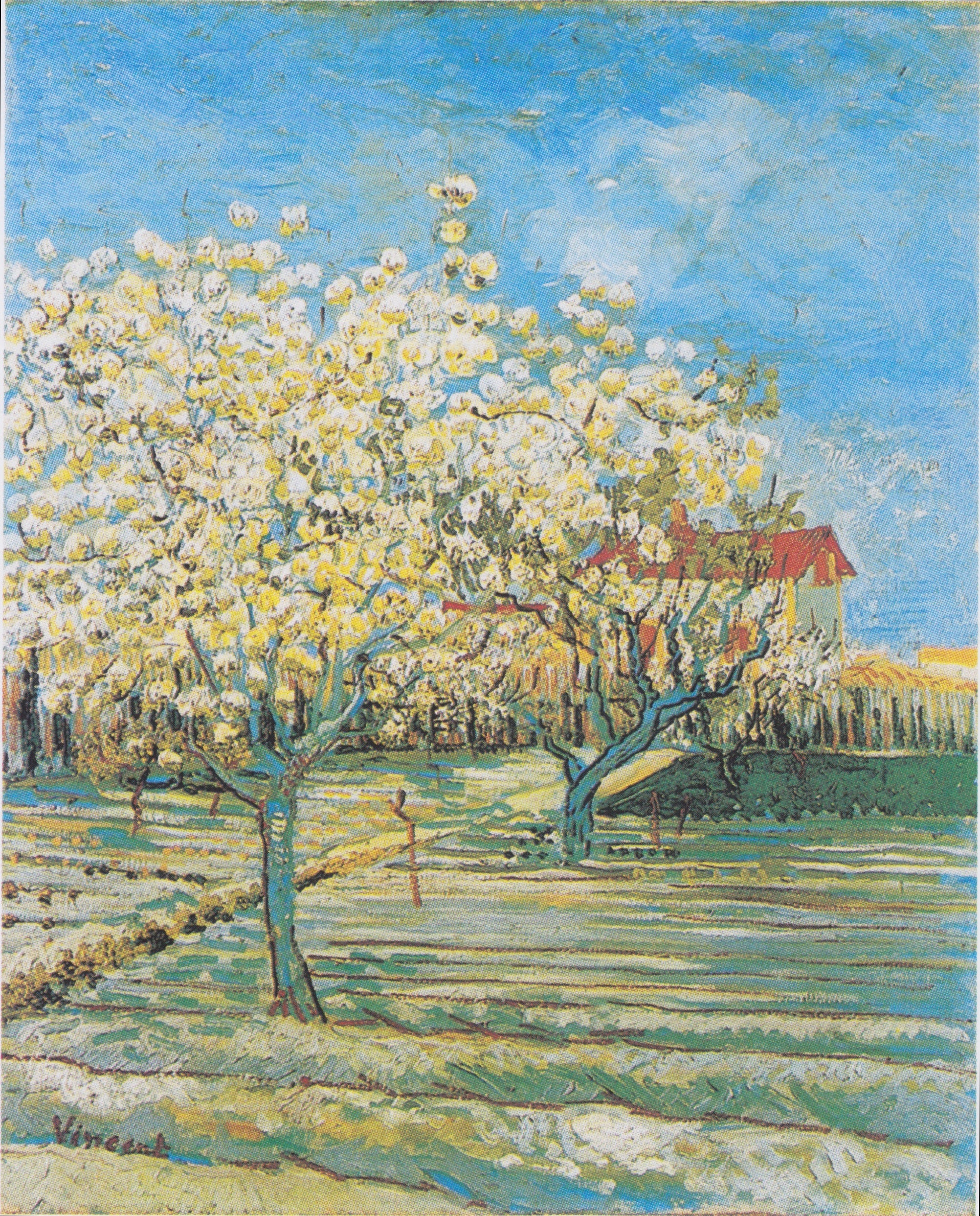Reproduction du tableau « Verger en fleurs - Vincent van Gogh » par Alpha Reproduction en peinture à l’huile