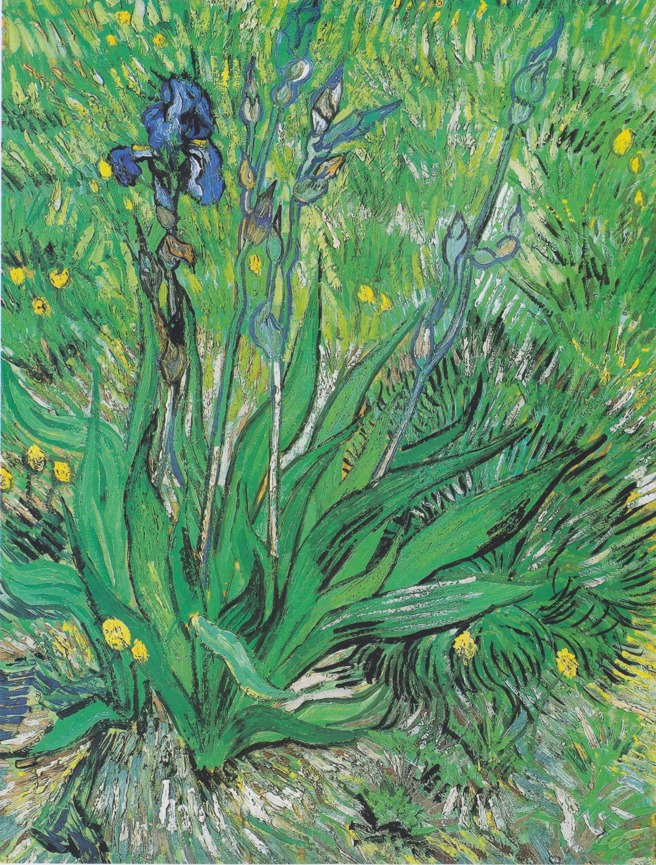Reproduction du tableau « Iris - Vincent van Gogh » par Alpha Reproduction en peinture à l’huile