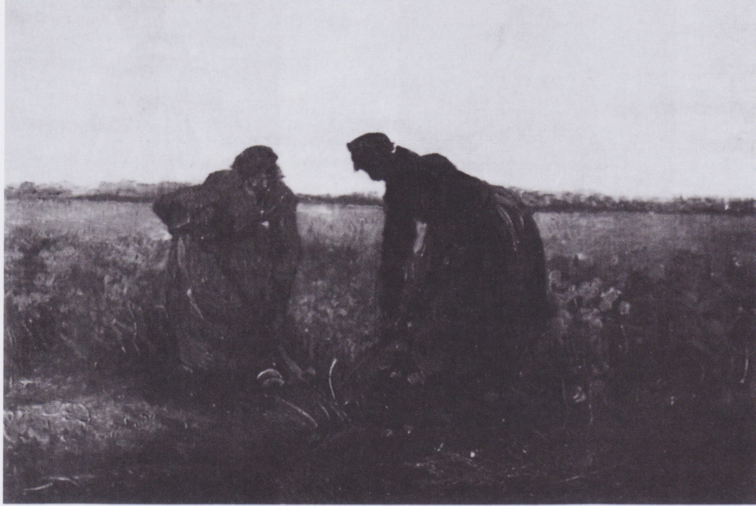 Reproduction du tableau « Deux paysannes creusant - Vincent van Gogh » par Alpha Reproduction en peinture à l’huile