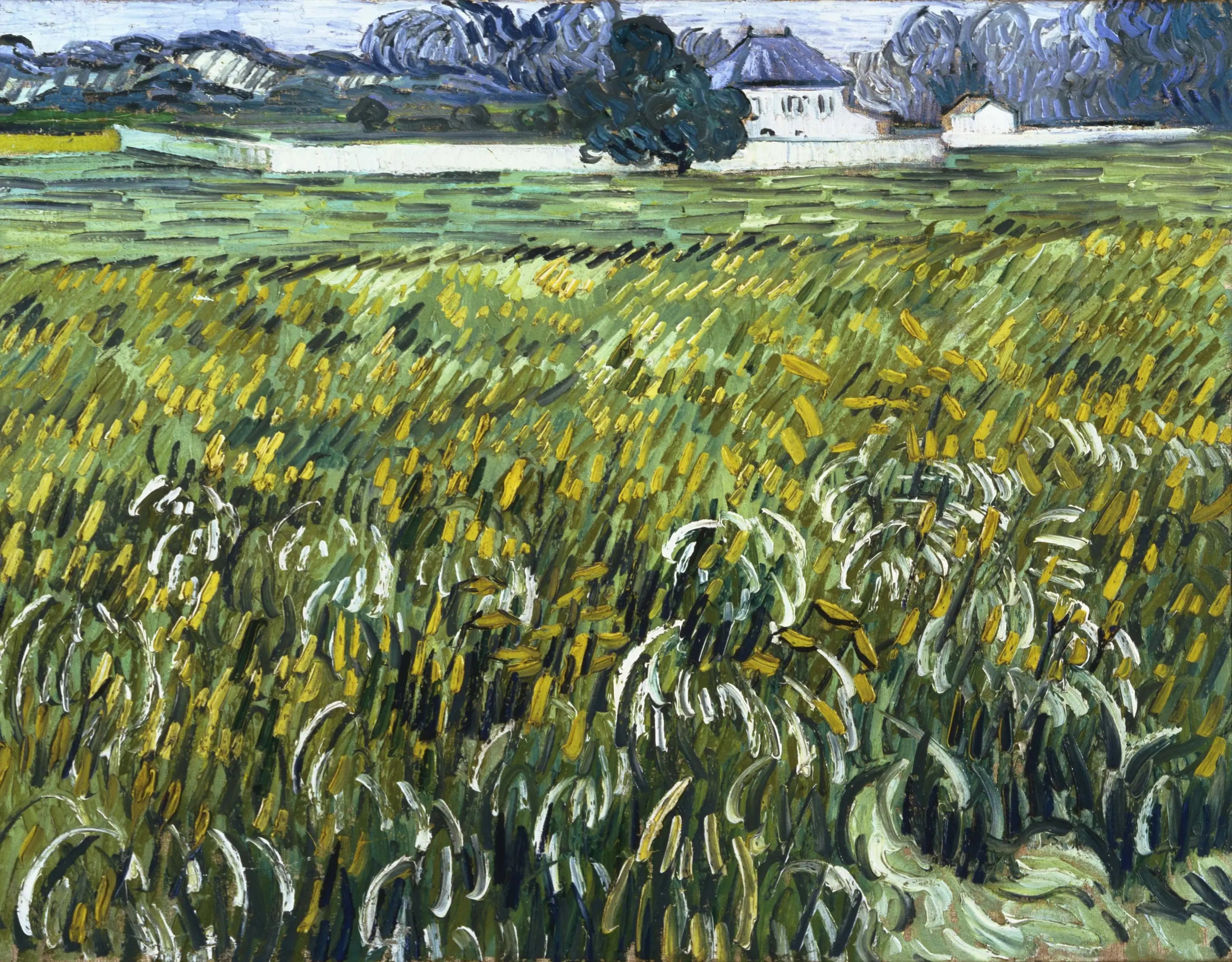 Reproduction du tableau « Champ de blé à Auvers avec maison - Vincent van Gogh » par Alpha Reproduction en peinture à l’huile