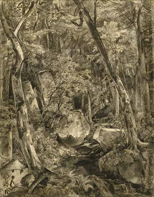 Intérieur boisé - William Trost Richards