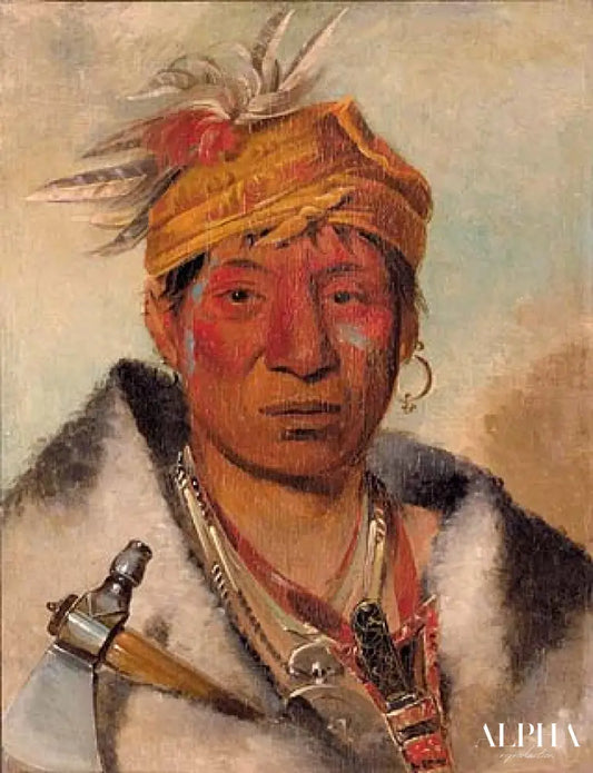 Ah-yaw-ne-tak-oár-ron, a Warrior - George Catlin - Reproductions de tableaux et peintures haut de gamme