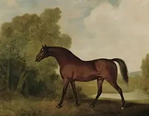 トマス・ホーウースの所有、バイの雄馬アンブロジオ

Source:
Ambrosio, un étalon bai, propriété de Thomas Haworth - George Stubbs
