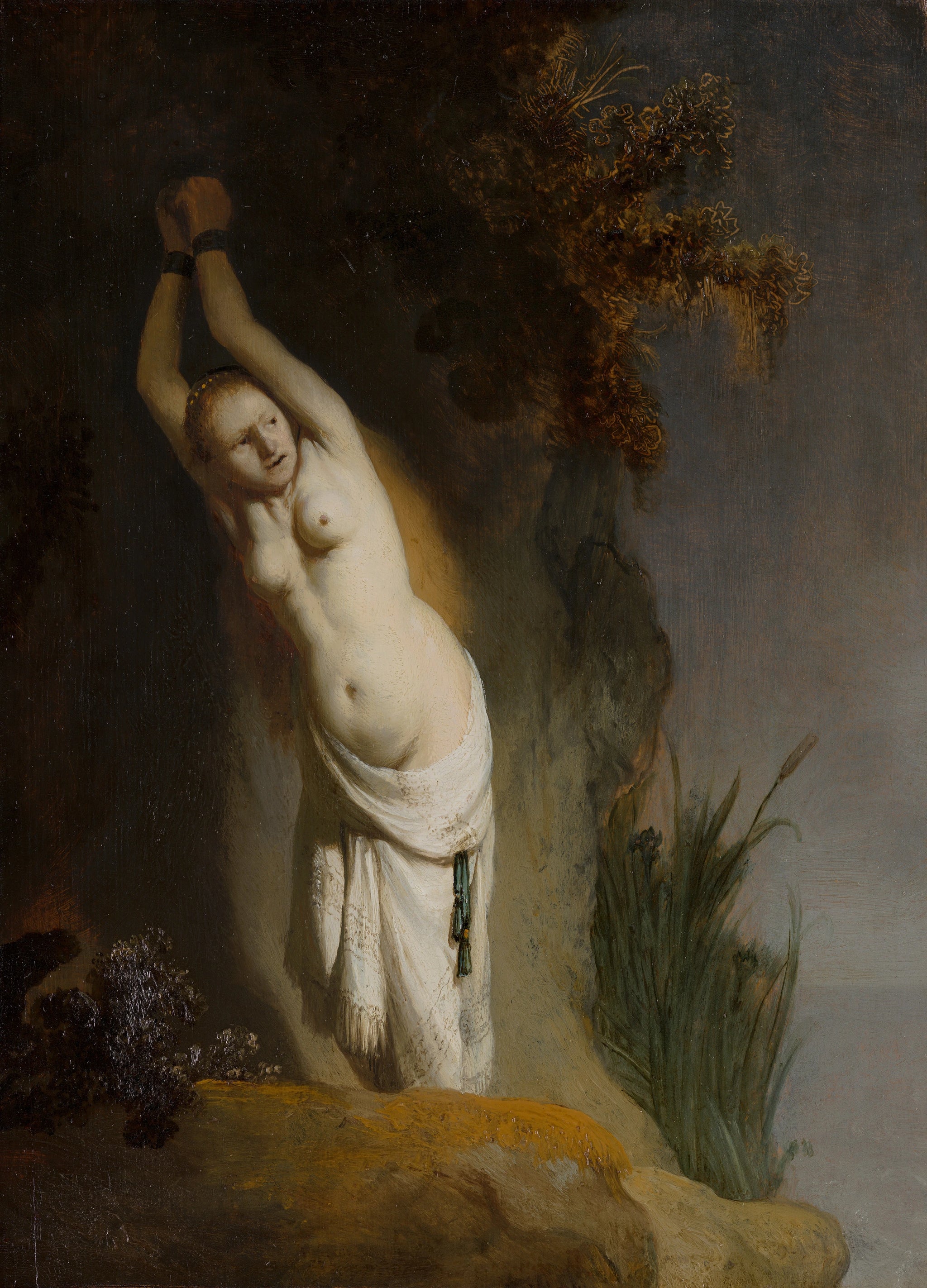 Andromède enchaînée au rocher — Rembrandt