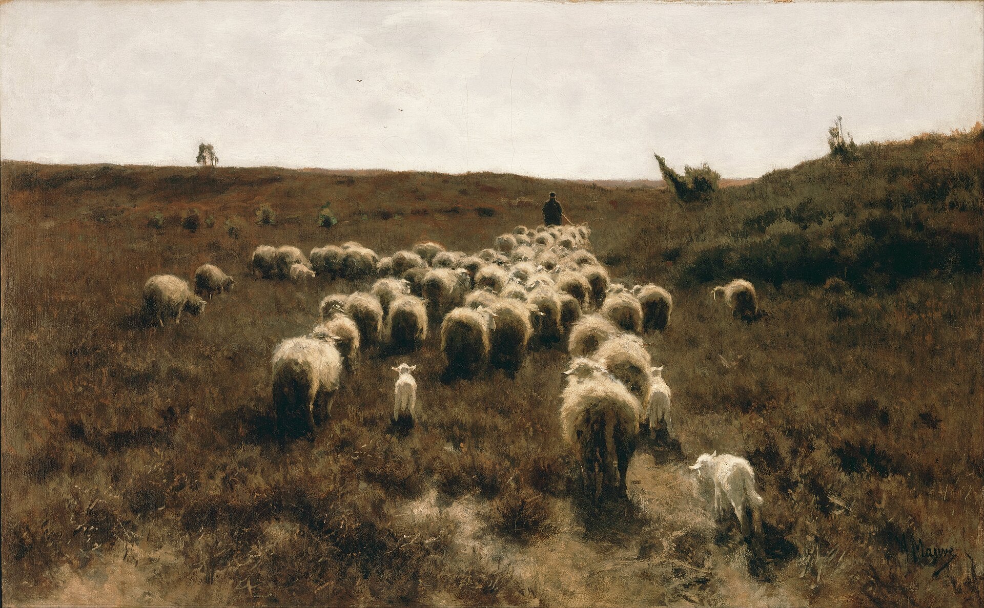 Retour du troupeau - Anton Mauve