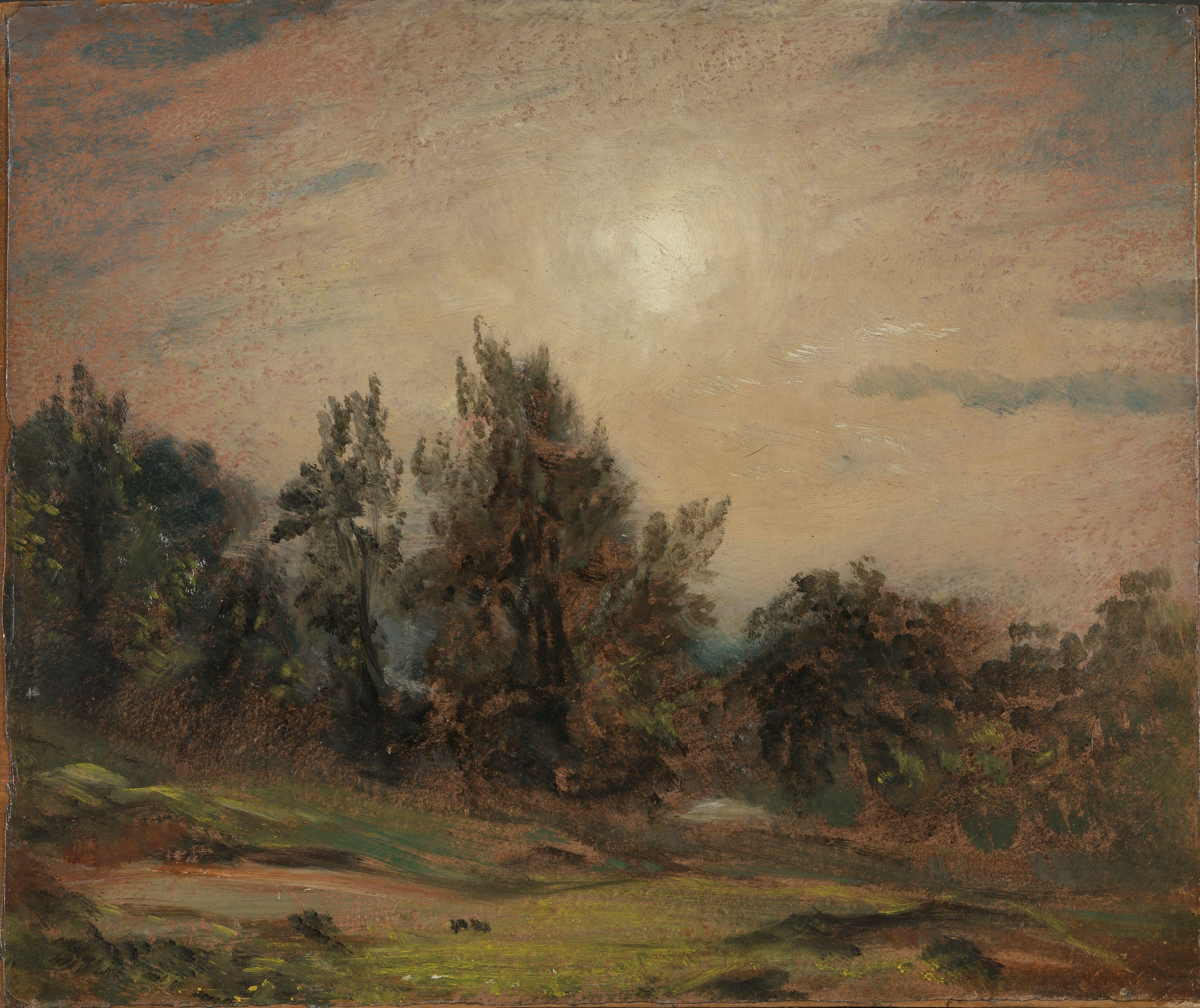 Arbres sur Hampstead Heath - John Constable - Alpha Reproduction