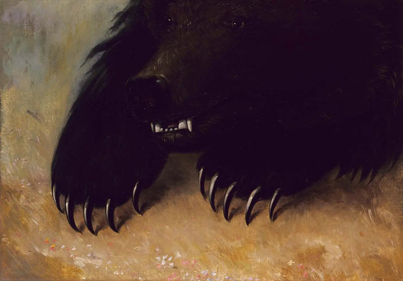 グリズリークマの武器と顔つき - ジョージ・キャトリン

Source:
Armes et physionomie de l'ours grizzli - George Catlin