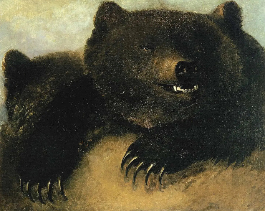 グリズリークマの武器と顔つき - ジョージ・キャトリン

Source:
Armes et physionomie de l'ours grizzli - George Catlin