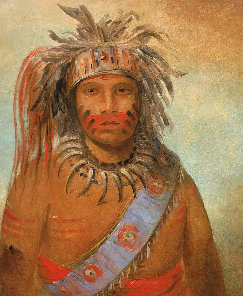 嵐の鳥、アウニムッククワウム - ジョージ・キャトリン

Source:
Au-nim-muck-kwa-um, oiseau de la tempête - George Catlin