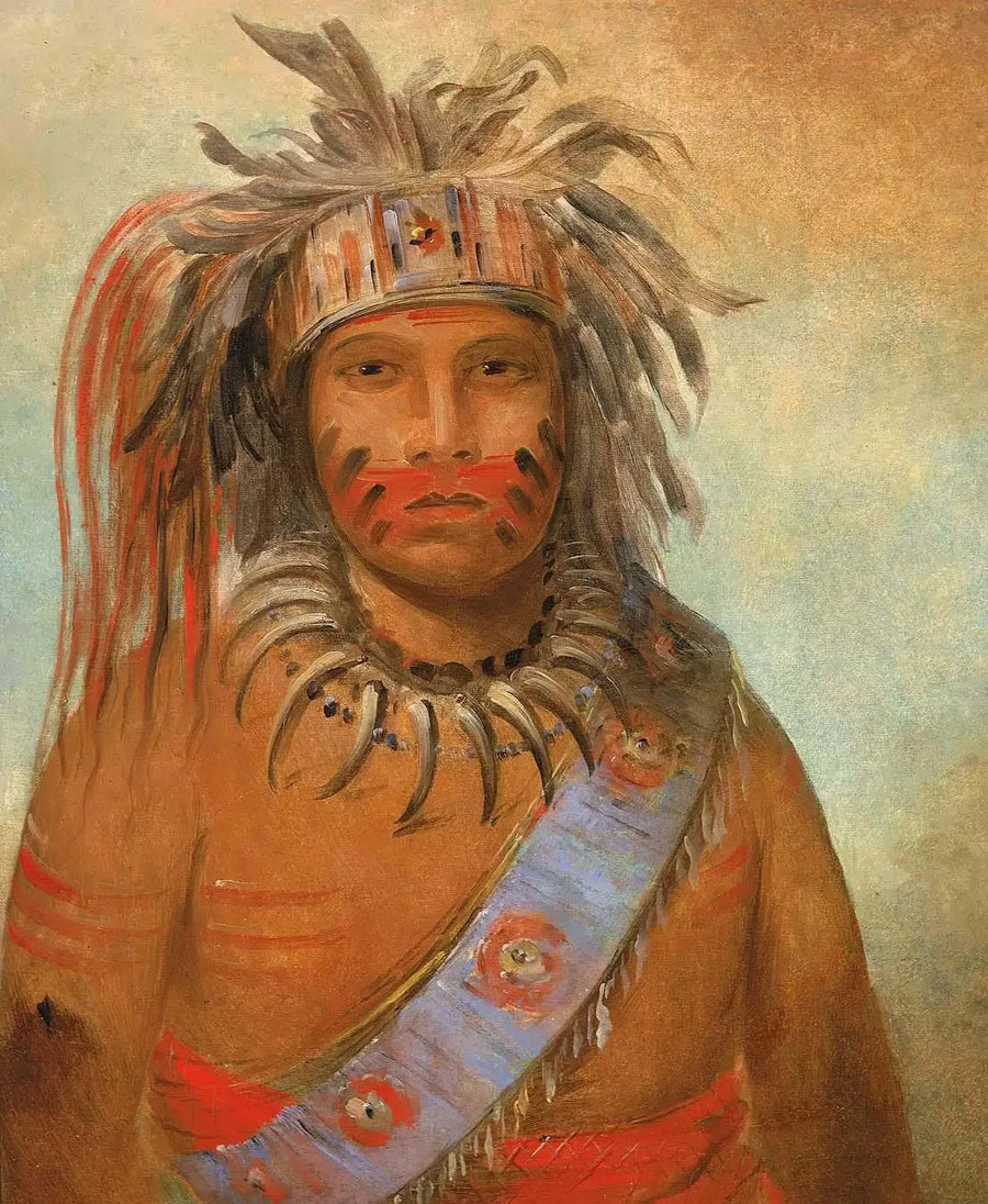 嵐の鳥、アウニムッククワウム - ジョージ・キャトリン

Source:
Au-nim-muck-kwa-um, oiseau de la tempête - George Catlin