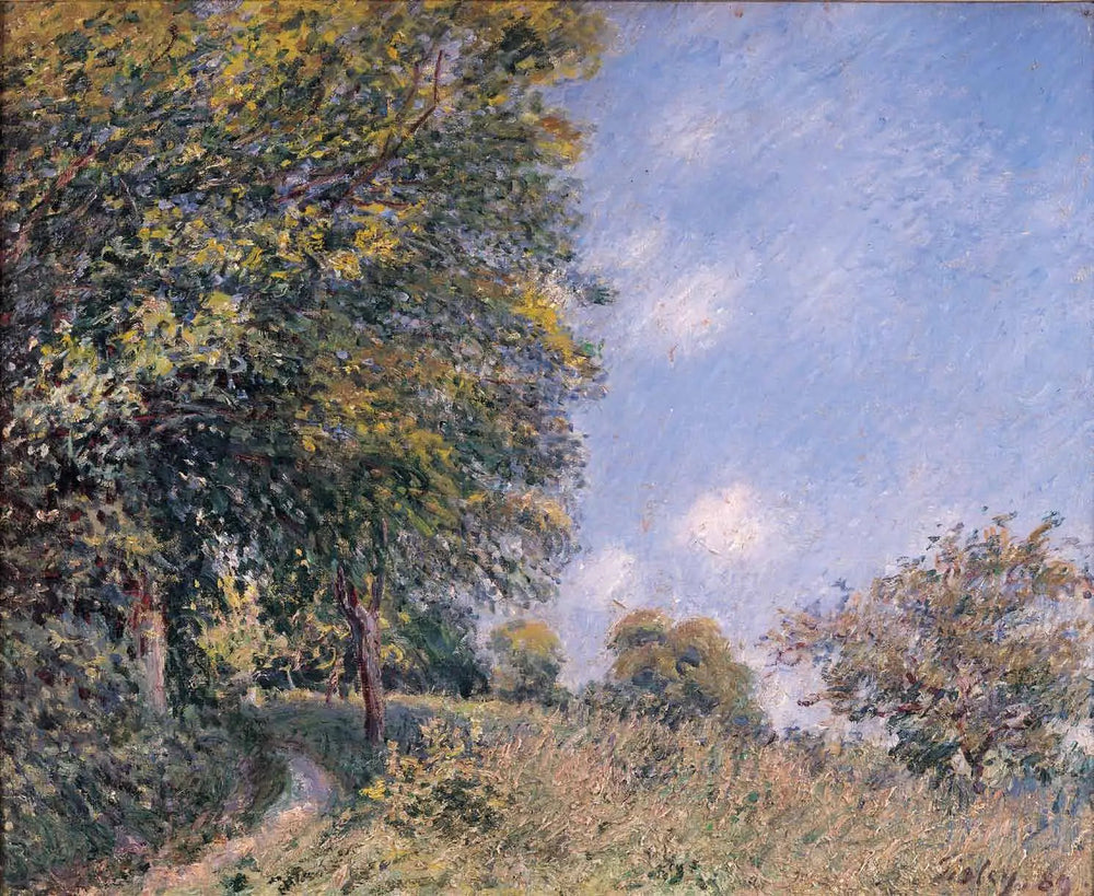 Autour de la forêt, matinée de juillet - Alfred Sisley image 1 copie peinte à la main à l’huile