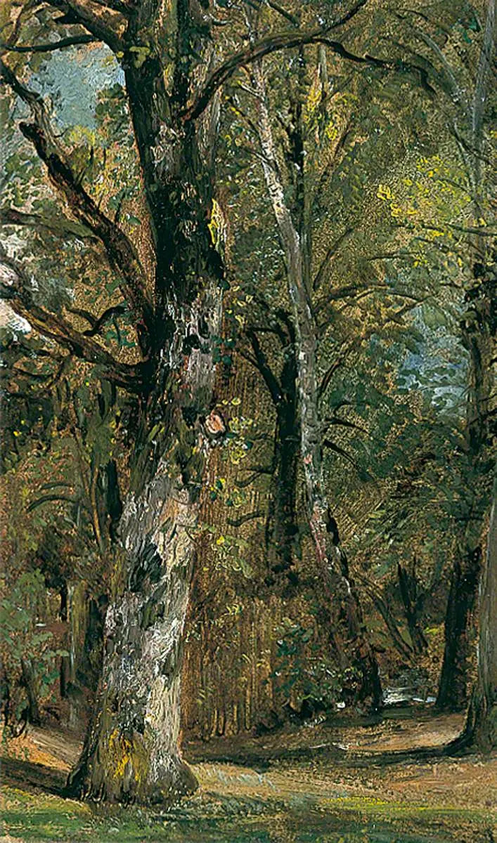 アベニュー・デ・ザルブル - ジョン・コンスタブル

Source:
Avenue des Arbres - John Constable