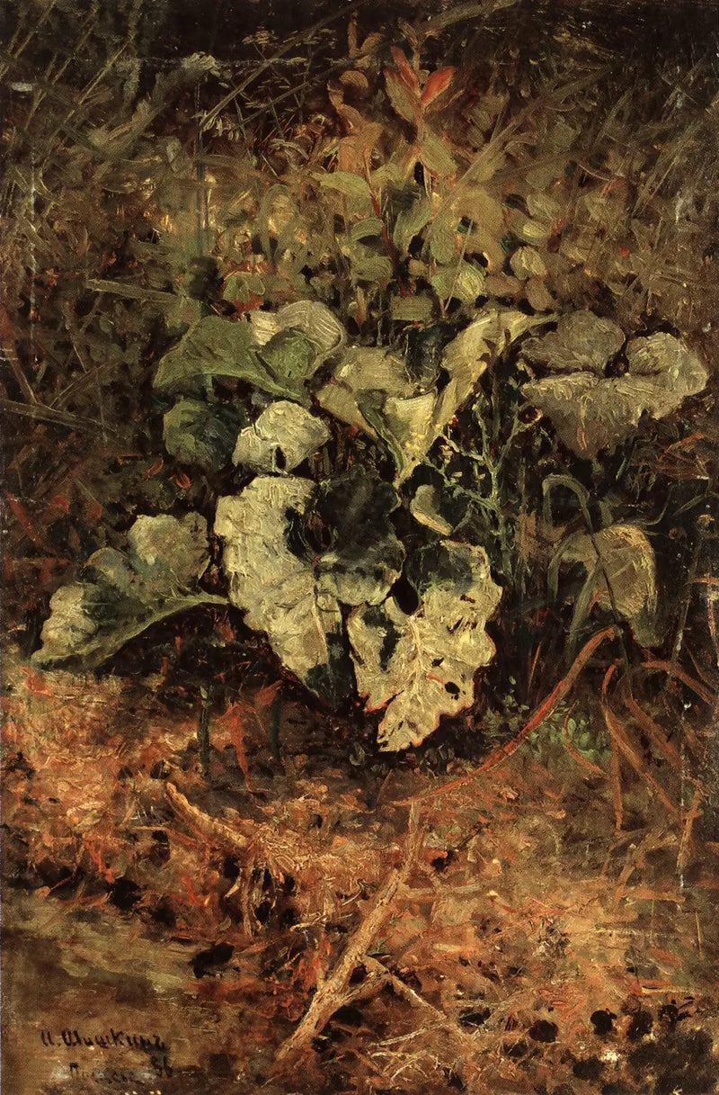 バルダン - イワン・チチキン

Source:
Bardane - Ivan Chichkine