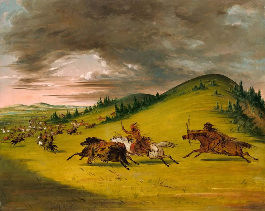 スー族とサック・アンド・フォックス族の戦い - ジョージ・キャトリン

Source:
Bataille entre Sioux et Sac et Fox - George Catlin