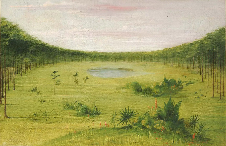 フロリダの松林にある美しいサバンナ - ジョージ・キャトリン

Source:
Belle savane dans les pinèdes de Floride - George Catlin