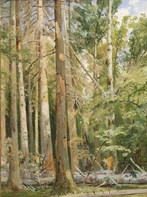 Belovezh - Ivan Chichkine

Source:
Belovezh - Ivan Chichkine