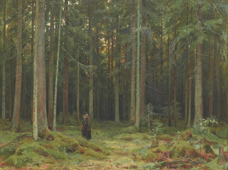 モードヴィノワ公爵夫人の木材。ペテルホフ - イワン・チチキン

Source:
Bois de la comtesse Mordvinova. Peterhof - Ivan Chichkine