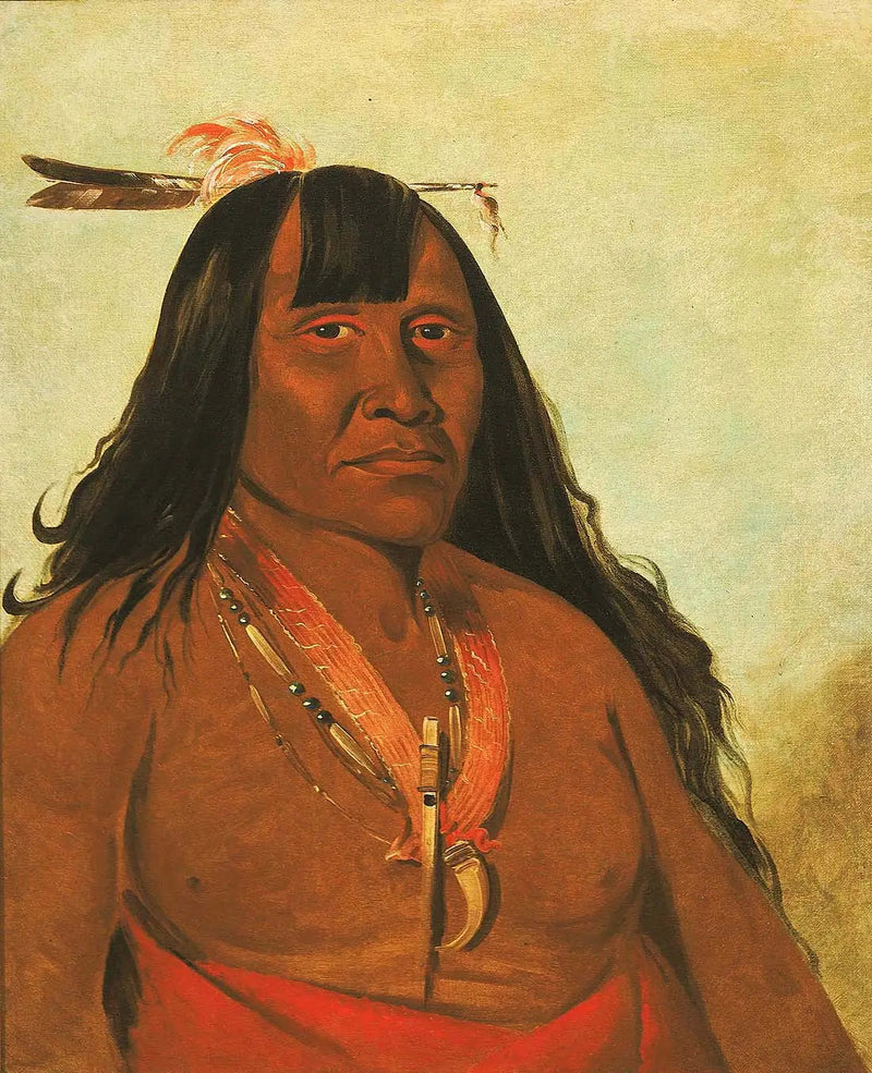 ボンソンジー、新しい火、バンドのリーダー - ジョージ・キャトリン

Source:
Bón-són-gee, New Fire, un chef de bande - George Catlin