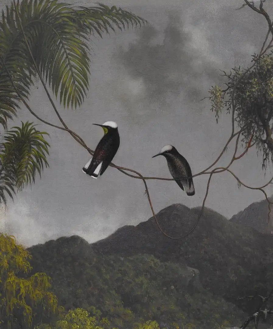 雪の帽子 - マーティン・ジョンソン・ヒード

Source:
Bonnet de neige - Martin Johnson Heade