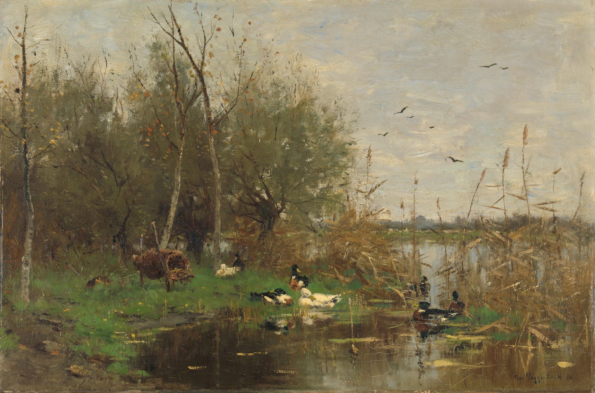 Bordure de fossé avec des canards près d'une ruche de canards - Geo Poggenbeek