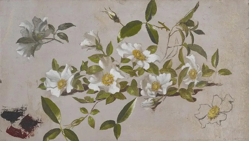 チェロキーのバラの枝 - マーティン・ジョンソン・ヒード

Source:
Branches de roses Cherokee - Martin Johnson Heade