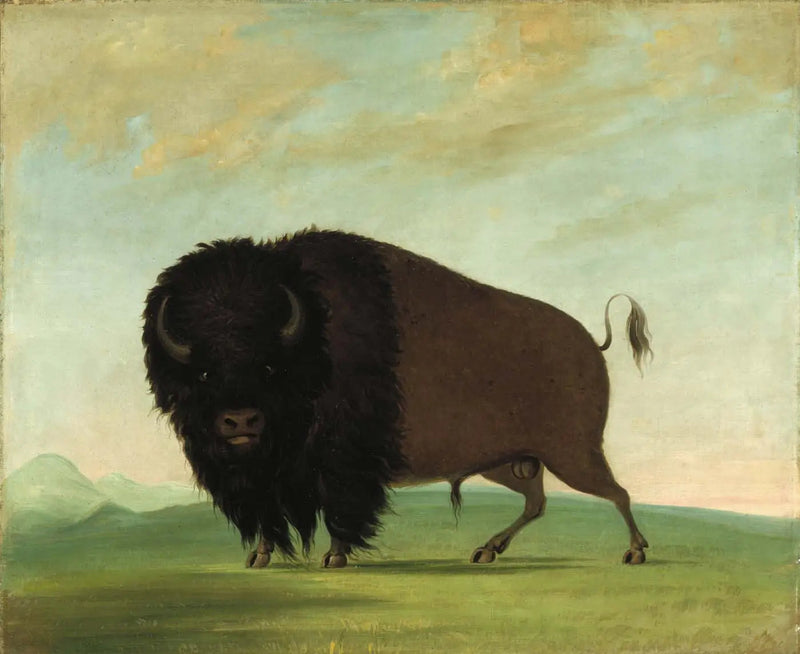 草原で草を食べる雄のバッファロー - ジョージ・キャトリン

Source:
Buffle mâle broutant dans la prairie - George Catlin