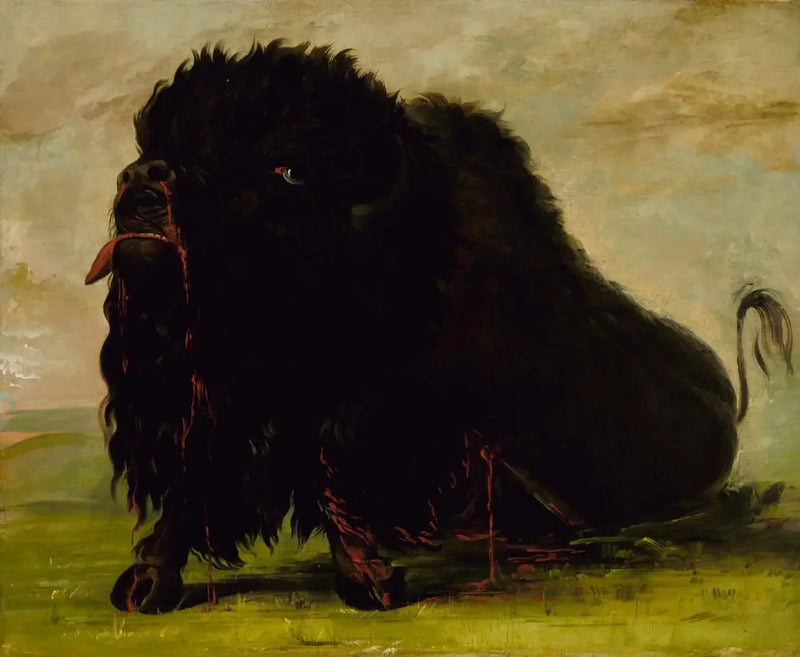 死にゆくバッファロー、矢に射られる - ジョージ・キャトリン

Source:
Buffle mourant, touché par une flèche - George Catlin