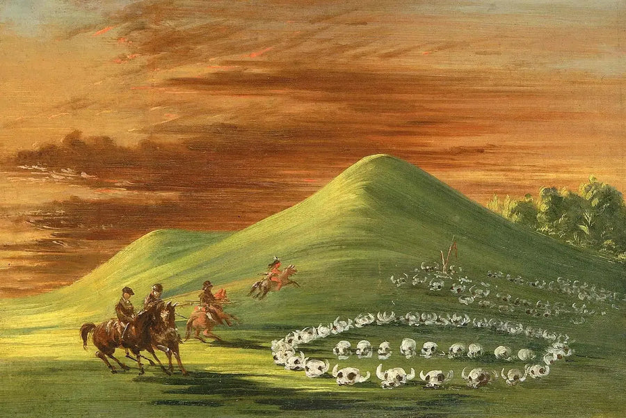 モーターの丘、スー族の墓地、ハイ・ミズーリ - ジョージ・キャトリン

Source:
Butte de Mort, cimetière sioux, Haut-Missouri - George Catlin