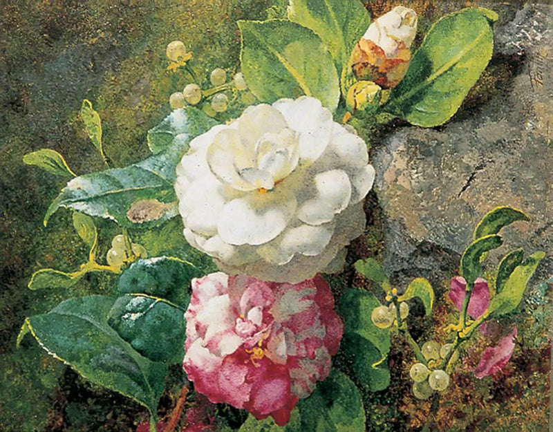 カーネーション - アンリ・ファンタン＝ラトゥール

Source:
Camélias - Henri Fantin-Latour