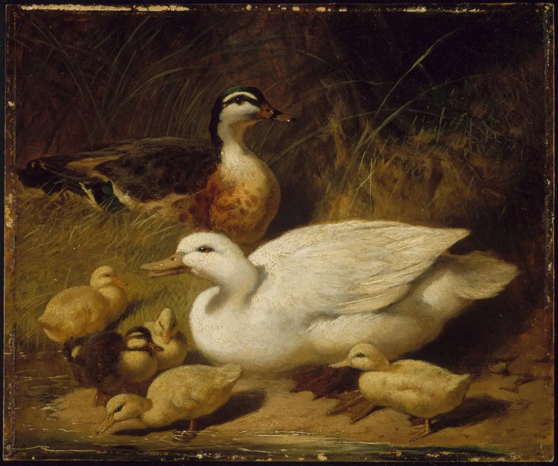 アヒルとアヒルの子 - ジョン・フレデリック・ヘリング Sr.  

Source:
Canards et canetons - John Frederick Herring, Sr.
