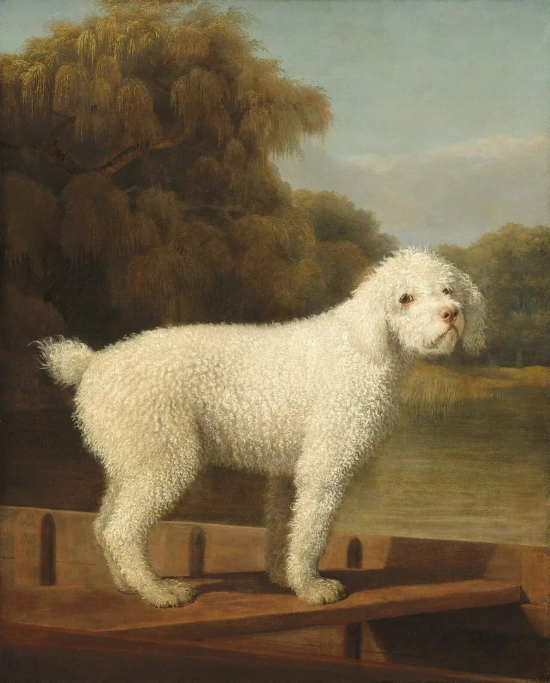 ポンツにいる白いプードル - ジョージ・スタッブス

Source:
Caniche blanc dans un Punt - George Stubbs