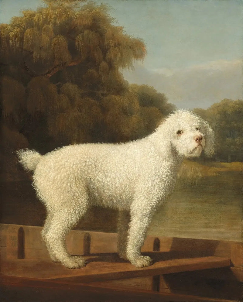 ポンツにいる白いプードル - ジョージ・スタッブス

Source:
Caniche blanc dans un Punt - George Stubbs