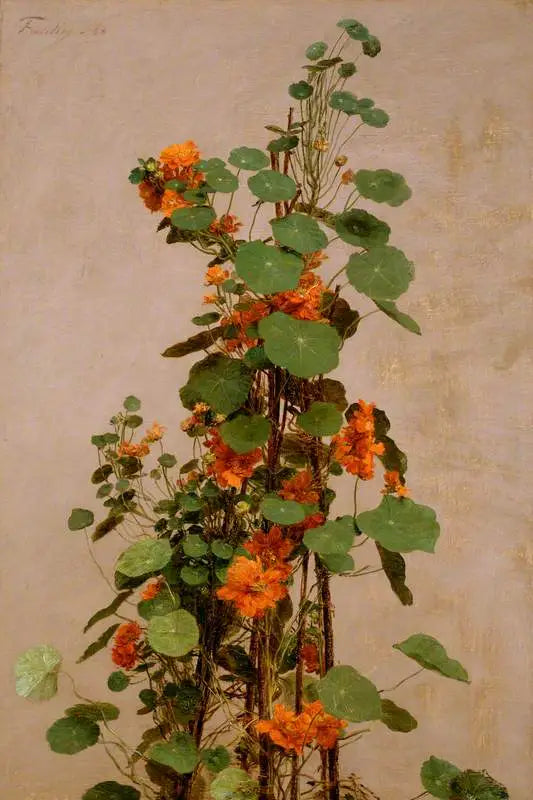 カプシーヌ - アンリ・ファンタン＝ラトゥール

Source:
Capucines - Henri Fantin-Latour