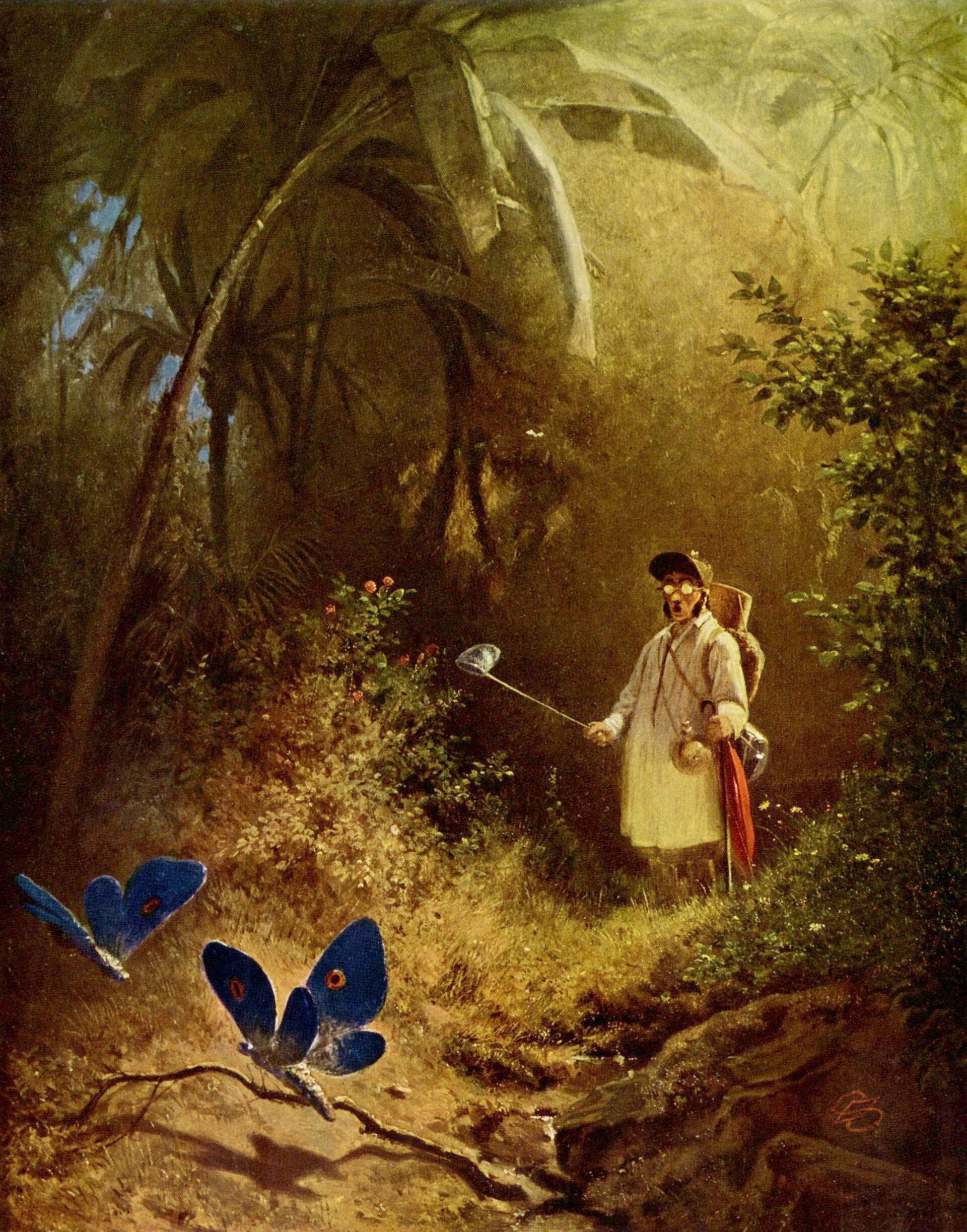 Der Schmetterlingsfänger (Le Chasseur de papillons) - Carl Spitzweg