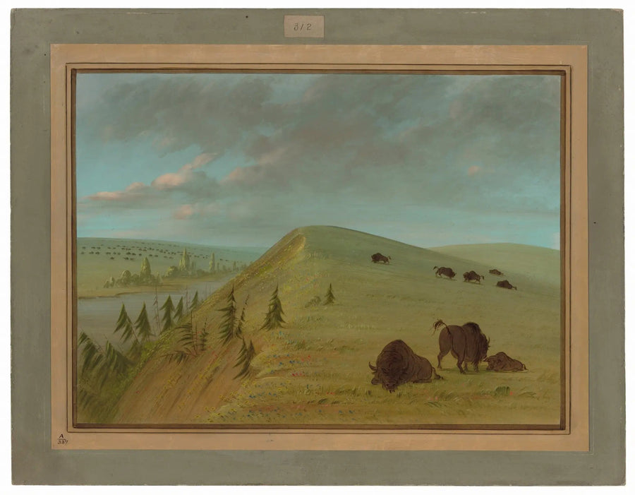 シダー・ブラフズ - ジョージ・キャトリン

Source:
Cedar Bluffs - George Catlin