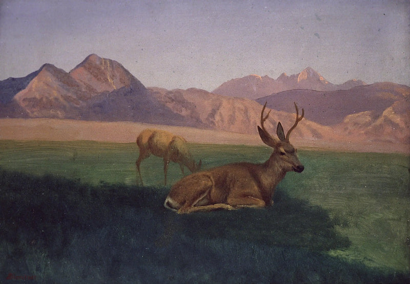 セルフ - アルバート・ビアシュタット

Source:
Cerf - Albert Bierstadt