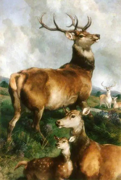 チリングハム公園のシカ、ノースumberland - エドウィン・ヘンリー・ランディー

Source:
Cerfs du parc de Chillingham, Northumberland - Edwin Henry Landseer