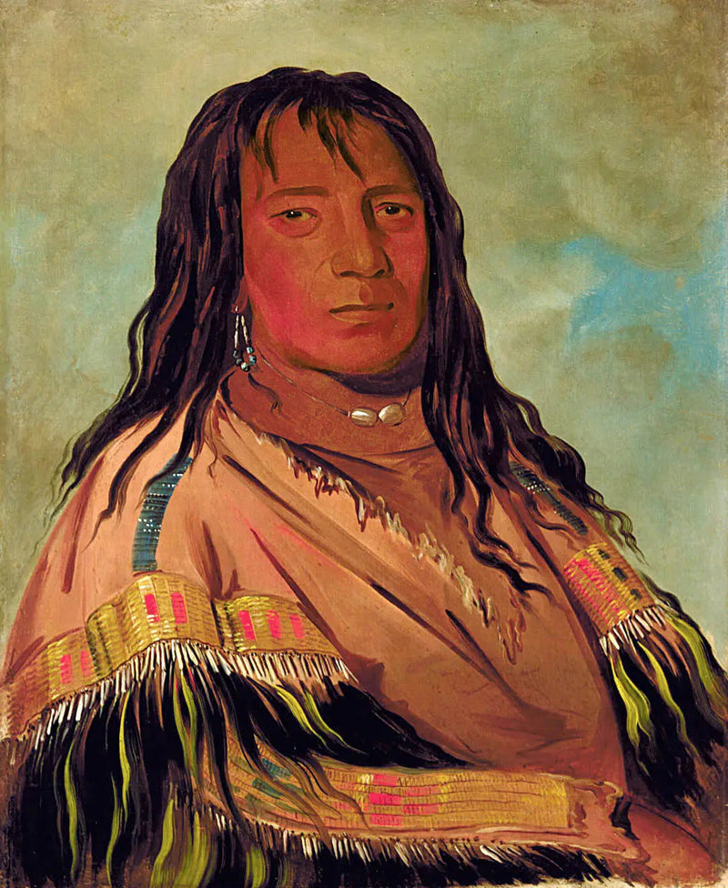 アルファレプリントによる油彩のレプリカ - チャティワニーシ、サンコール、ワネウォッチトーニナのリーダー - ジョージ・キャトリン

Source:
Chá-tee-wah-née-che, Sans Cœur, Chef de la bande Wah-ne-watch-to-nee-nah - George Catlin
