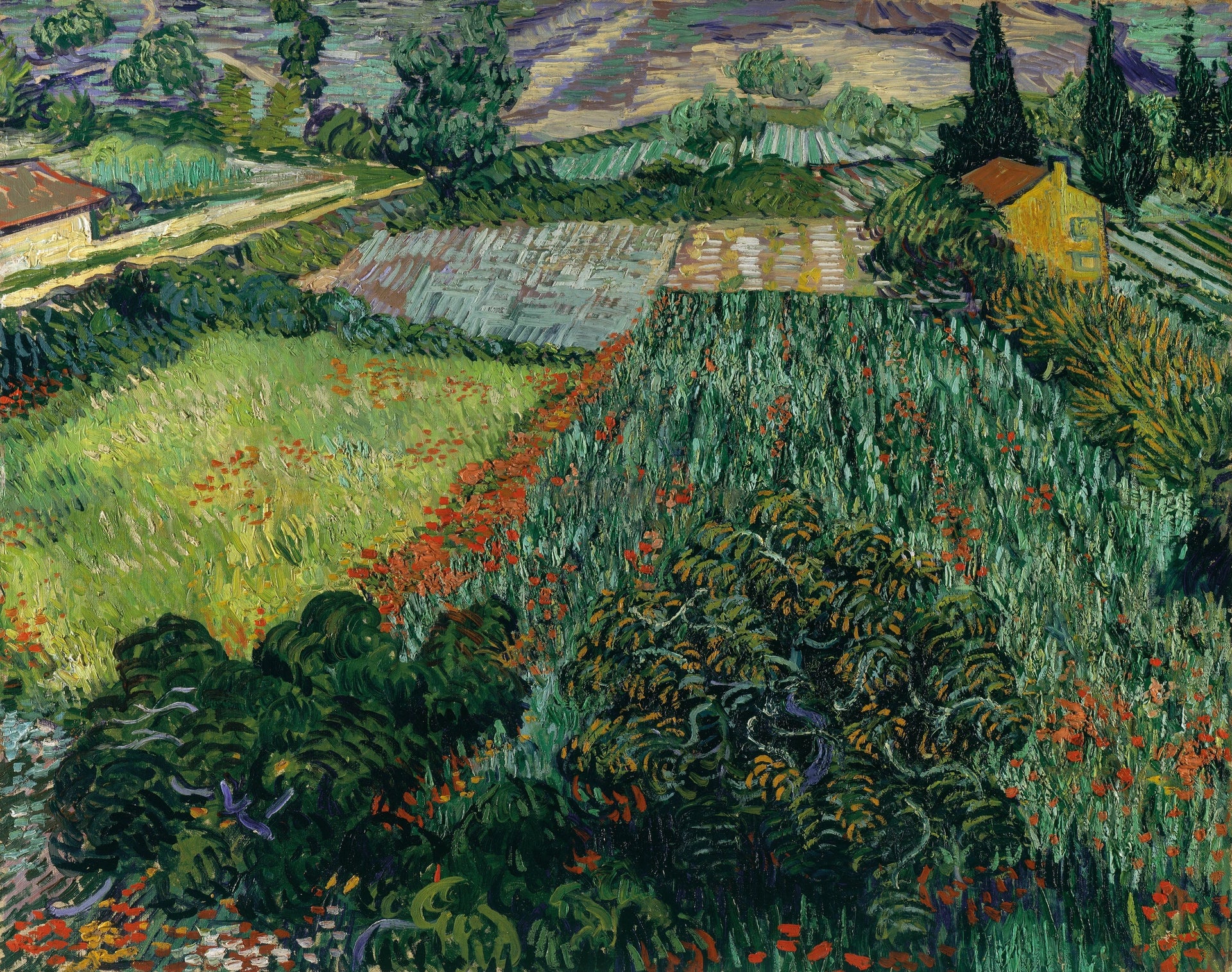 Champ aux coquelicots F581 de Vincent van Gogh, Kunsthalle Bremen