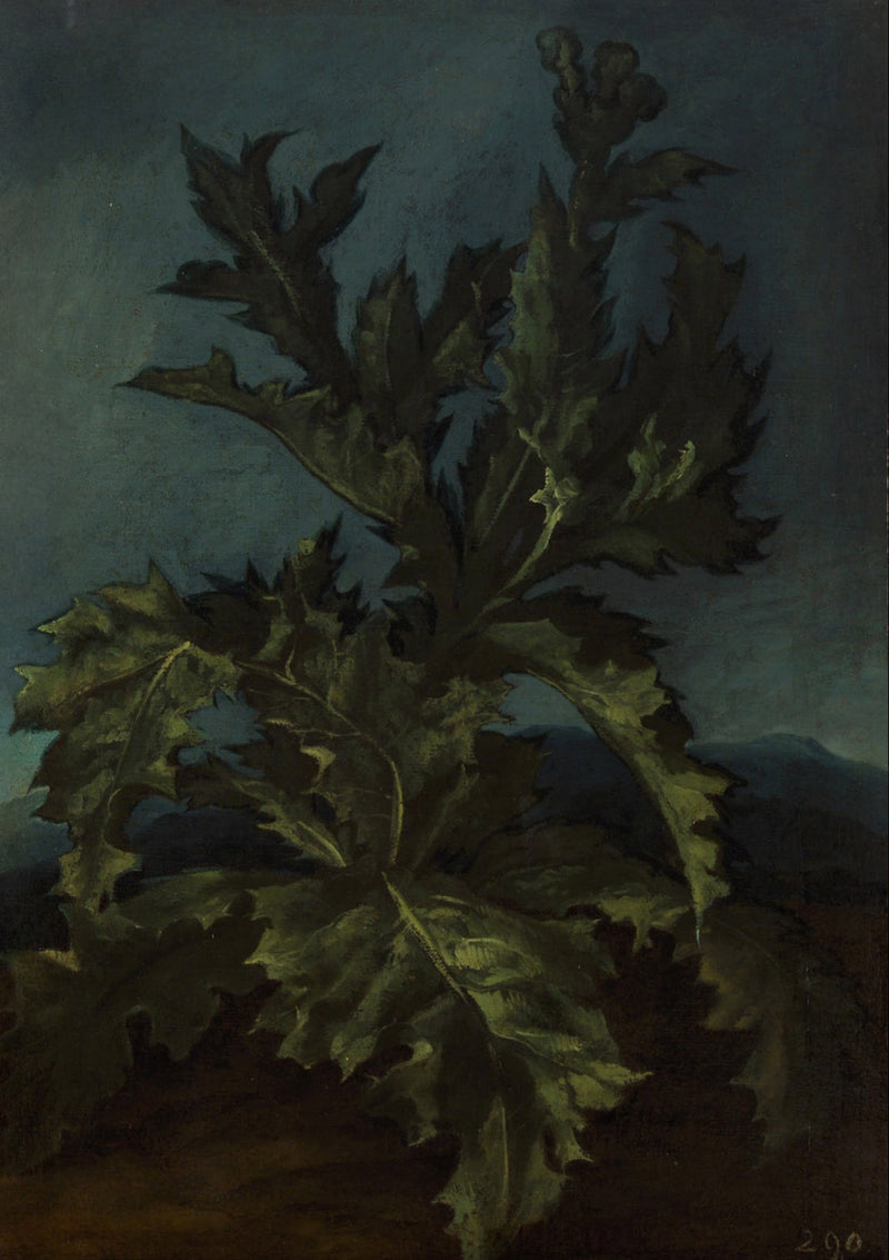 シャルドン - カルロ・ドルチ